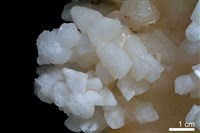 方解石藏品圖，第4張