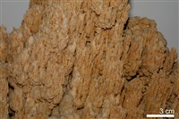 石灰華藏品圖，第3張