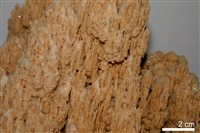 石灰華藏品圖，第4張