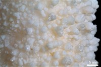 方解石 藏品圖，第4張
