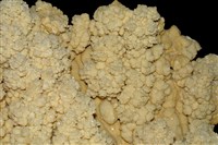 方解石/石灰華藏品圖，第2張