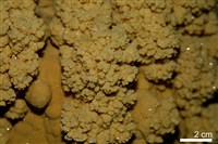 方解石/石灰華藏品圖，第3張