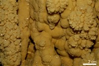 方解石/石灰華藏品圖，第5張