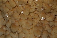 方解石藏品圖，第2張