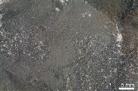 泥灰岩藏品圖，第3張
