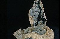 瑪瑙藏品圖，第5張