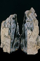瑪瑙藏品圖，第3張