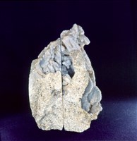 瑪瑙藏品圖，第4張
