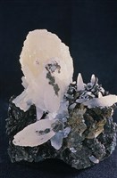 電氣石/石英藏品圖，第8張