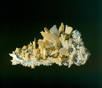 硬石膏藏品圖，第2張