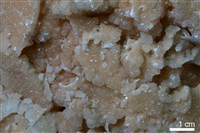 石灰華藏品圖，第5張