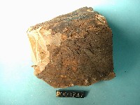 煌斑岩藏品圖，第3張