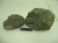 斑狀安山岩藏品圖，第4張