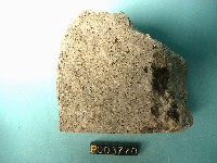 角閃安山岩藏品圖，第2張