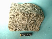 黑雲母角閃安山岩藏品圖，第3張