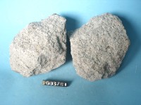 角閃黑雲母安山岩藏品圖，第4張