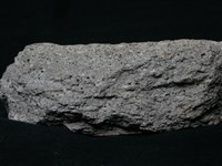 角閃黑雲母安山岩藏品圖，第2張