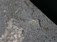 Hornblende andesite Collection Image, Figure 2, Total 3 Figures