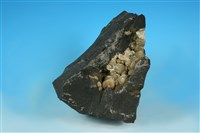 文石藏品圖，第1張
