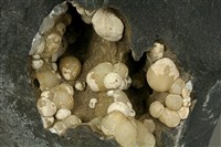 文石藏品圖，第4張