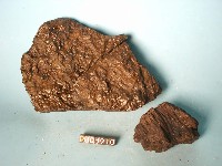 繩狀熔岩藏品圖，第2張
