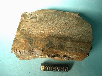 方沸石煌綠岩(沸綠岩)藏品圖，第3張