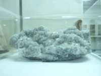 螢石藏品圖，第3張