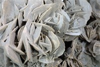 石膏藏品圖，第2張