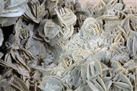 石膏藏品圖，第3張