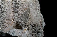 石英/水晶 藏品圖，第5張