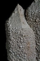 石英/水晶 藏品圖，第7張