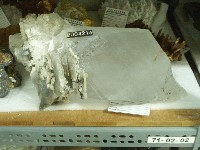 透石膏藏品圖，第7張