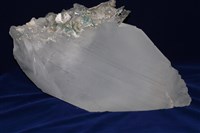 透石膏藏品圖，第3張
