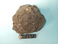 玻璃質玄武岩藏品圖，第2張