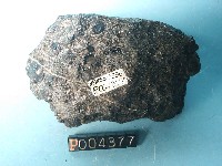 玻璃質玄武岩藏品圖，第2張