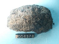 玻璃質玄武岩藏品圖，第2張