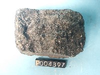 玻璃質玄武岩藏品圖，第2張