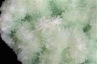 透石膏藏品圖，第4張