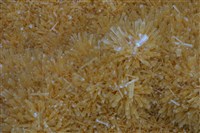 透石膏藏品圖，第2張