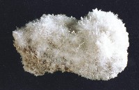 透石膏藏品圖，第4張