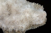 透石膏藏品圖，第2張