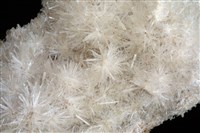 透石膏藏品圖，第3張