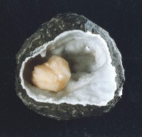 輝沸石藏品圖，第4張