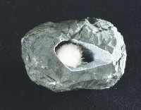 鈉沸石藏品圖，第5張