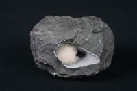 鈉沸石藏品圖，第1張