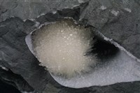 鈉沸石藏品圖，第2張