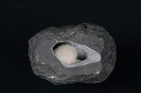 鈉沸石藏品圖，第3張