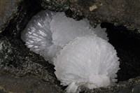柱沸石 藏品圖，第2張