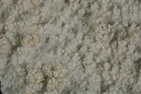 方解石藏品圖，第2張