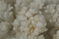 方解石藏品圖，第3張